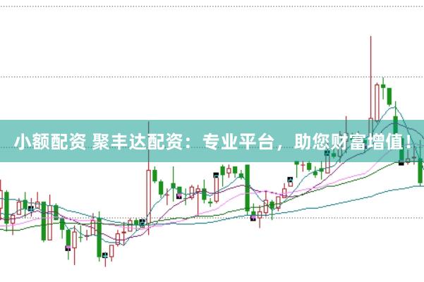 小额配资 聚丰达配资：专业平台，助您财富增值！