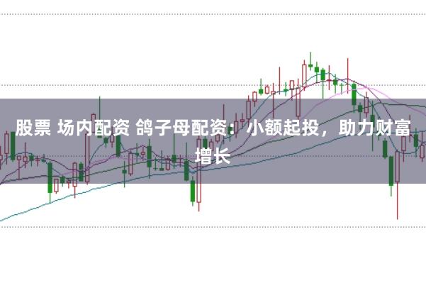 股票 场内配资 鸽子母配资：小额起投，助力财富增长