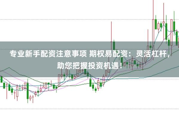 专业新手配资注意事项 期权易配资：灵活杠杆，助您把握投资机遇！