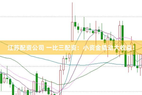 江苏配资公司 一比三配资：小资金撬动大收益！
