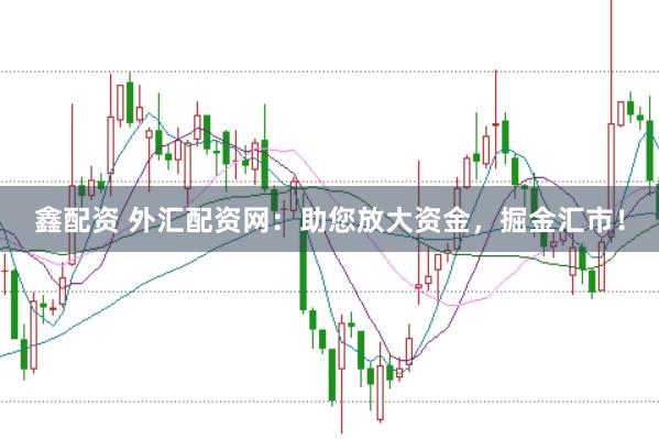 鑫配资 外汇配资网:助您放大资金,掘金汇市!