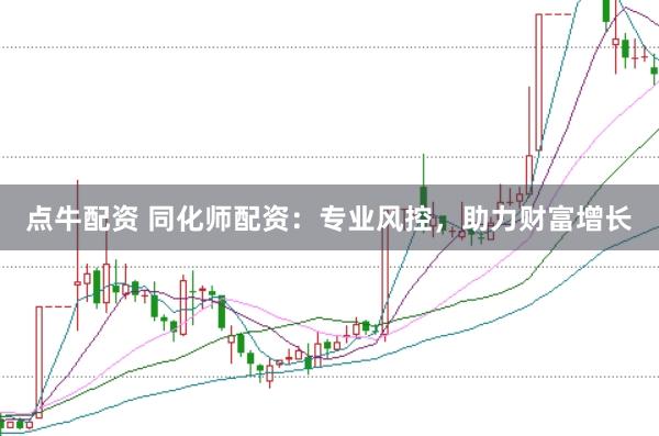 点牛配资 同化师配资:专业风控,助力财富增长
