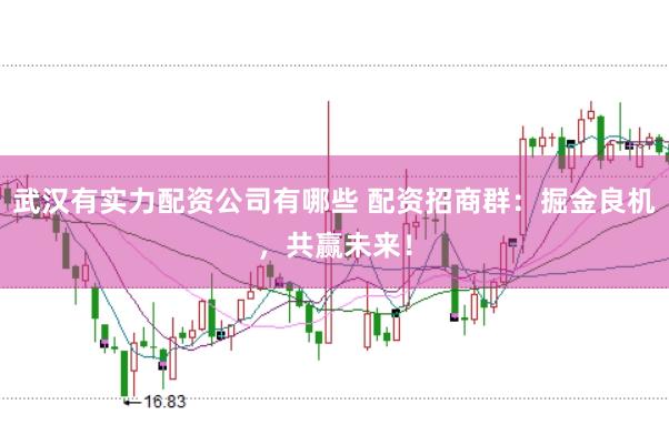 武汉有实力配资公司有哪些 配资招商群：掘金良机，共赢未来！