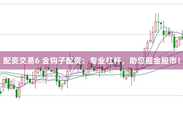 配资交易6 金钩子配资：专业杠杆，助您掘金股市！