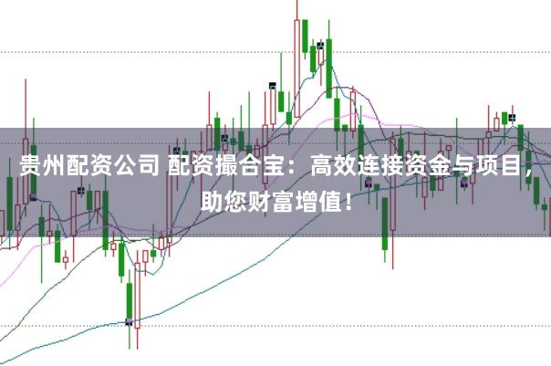 贵州配资公司 配资撮合宝：高效连接资金与项目，助您财富增值！