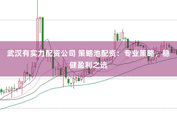 武汉有实力配资公司 策略池配资：专业策略，稳健盈利之选