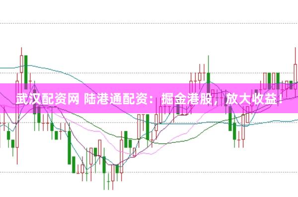 武汉配资网 陆港通配资：掘金港股，放大收益！