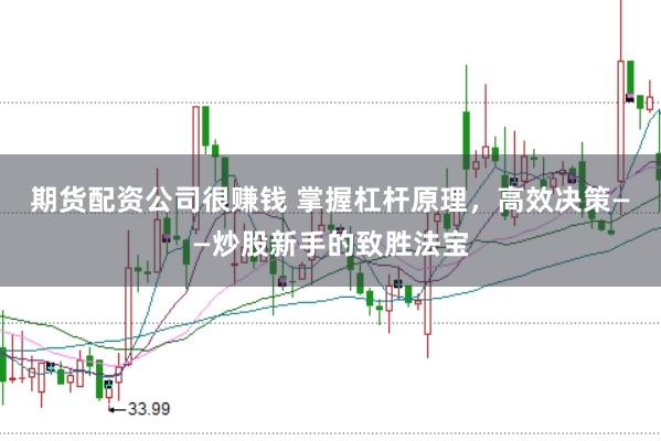 期货配资公司很赚钱 掌握杠杆原理，高效决策——炒股新手的致胜法宝