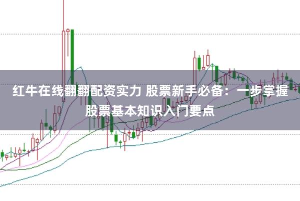 红牛在线翻翻配资实力 股票新手必备：一步掌握股票基本知识入门要点