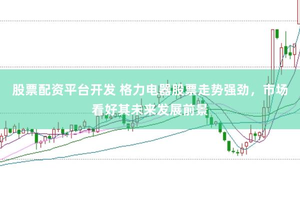 股票配资平台开发 格力电器股票走势强劲，市场看好其未来发展前景