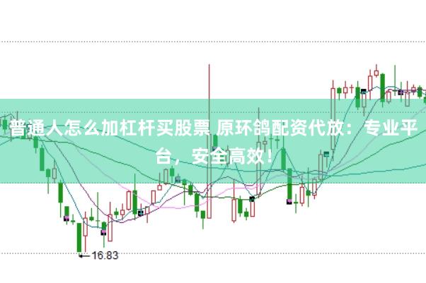 普通人怎么加杠杆买股票 原环鸽配资代放：专业平台，安全高效！