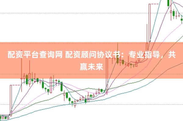 配资平台查询网 配资顾问协议书：专业指导，共赢未来