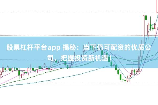 股票杠杆平台app 揭秘：当下仍可配资的优质公司，把握投资新机遇！