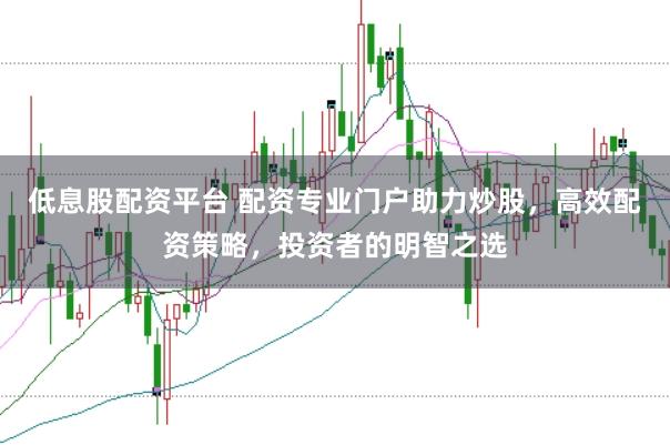 低息股配资平台 配资专业门户助力炒股，高效配资策略，投资者的明智之选
