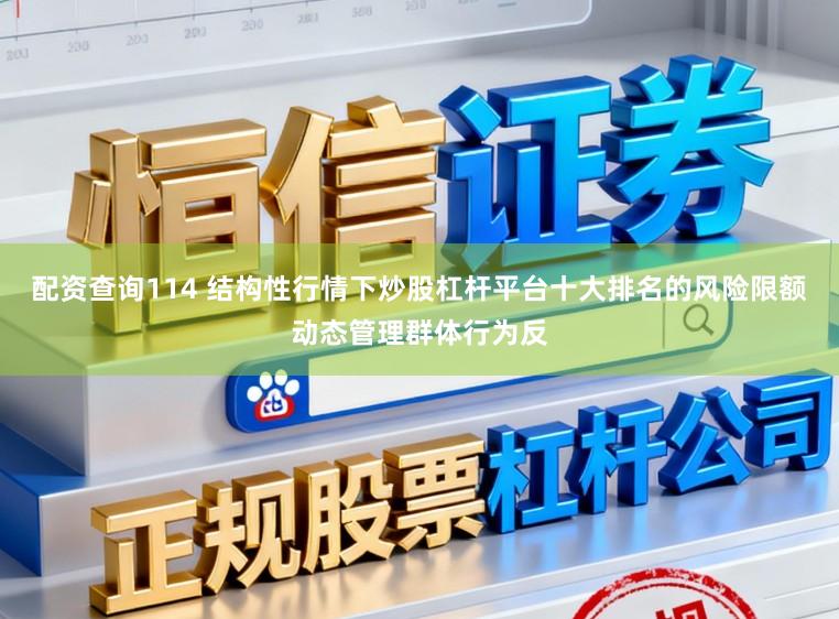 配资查询114 结构性行情下炒股杠杆平台十大排名的风险限额动态管理群体行为反
