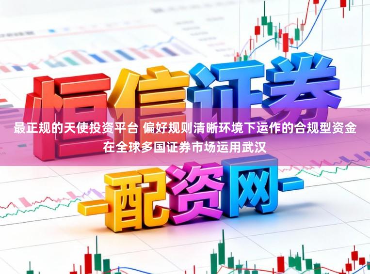 最正规的天使投资平台 偏好规则清晰环境下运作的合规型资金在全球多国证券市场运用武汉