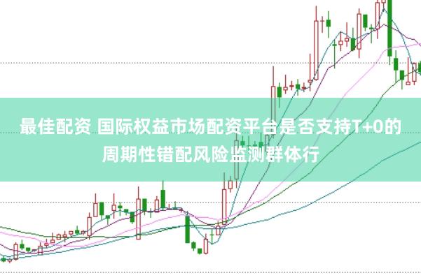 最佳配资 国际权益市场配资平台是否支持T+0的周期性错配风险监测群体行